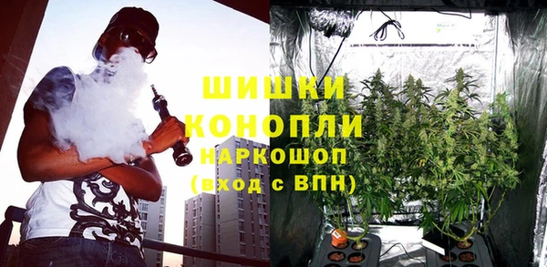 сатива Коряжма