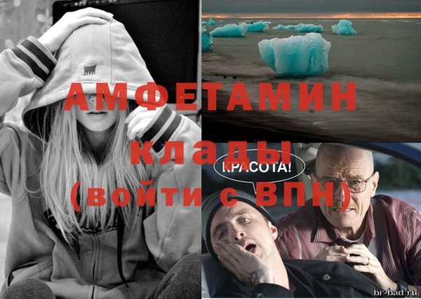 сатива Коряжма