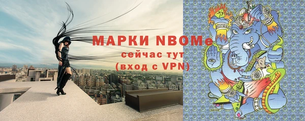 сатива Коряжма