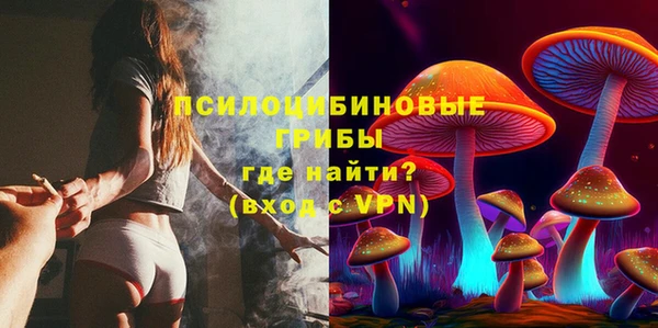 твердый Костерёво