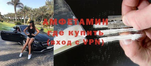 сатива Коряжма