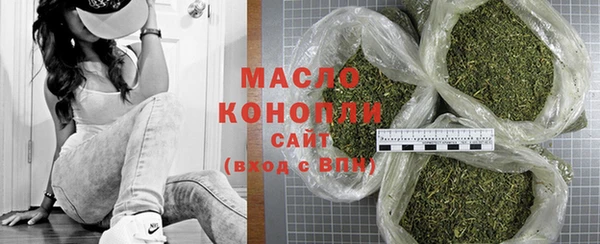 сатива Коряжма