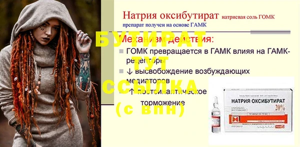 сатива Коряжма