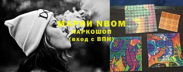сатива Коряжма