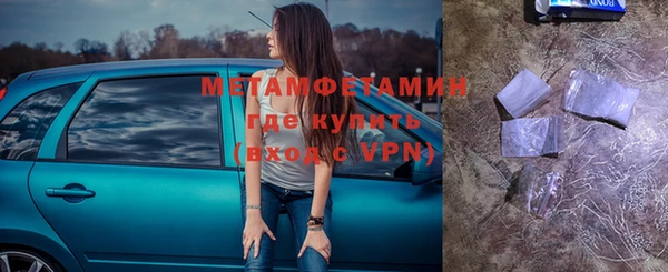 сатива Коряжма