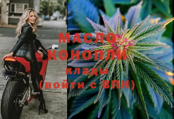 сатива Коряжма