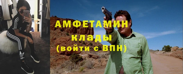 сатива Коряжма